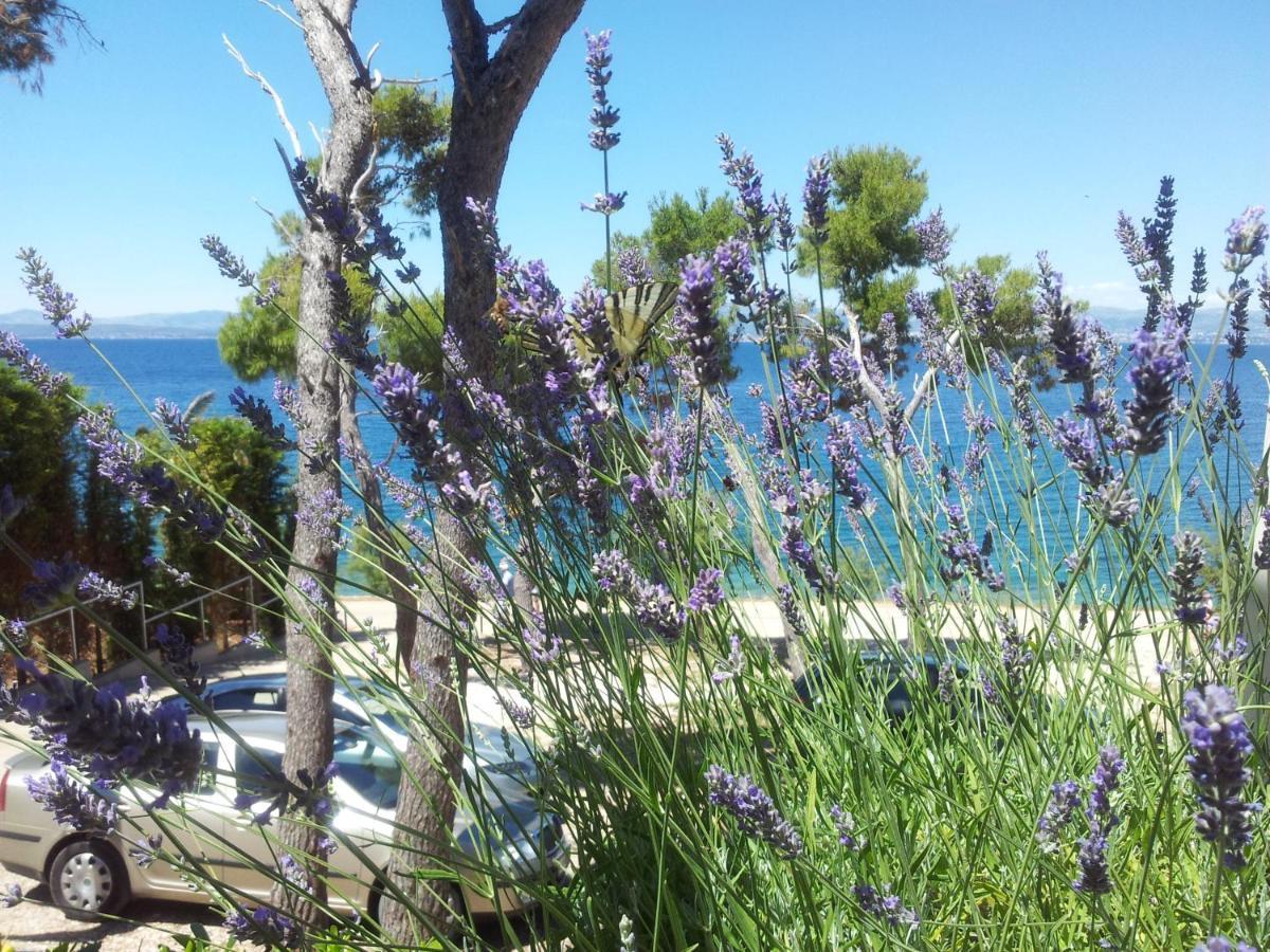 La Riva - Seafront *